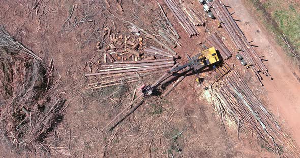 Aerial View Forestry Machinery in Construction Site of Preparation Land for New Subdivision with