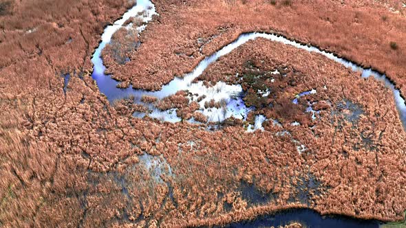 Small blue river and brown swamps, aerial view