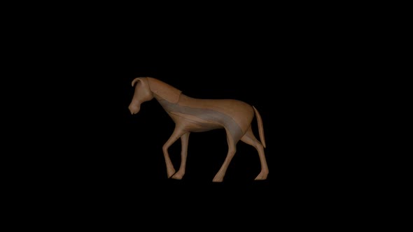 Old Wood Horse Toy Walk