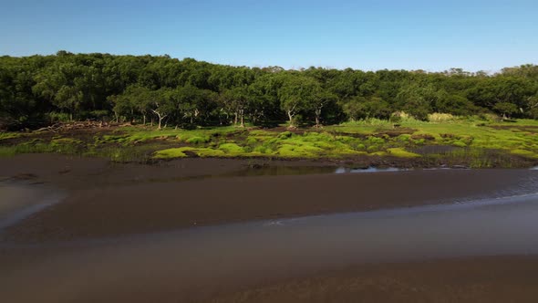 Drone shot of sandy swamps and trees by shore of Rio de la Plata