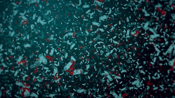 Bacteria Floating Pack alt