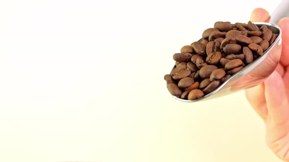 Coffee beans pouring from steel scoop on light background cafe 4K. Freshly roasted aromatic grains