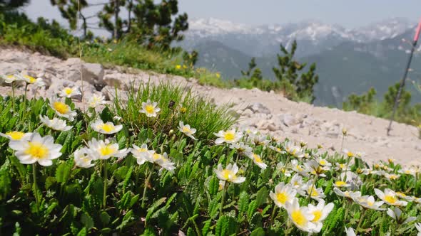 Beautiful Hike Between the Remote Villages of Theth and Valbona in Albania