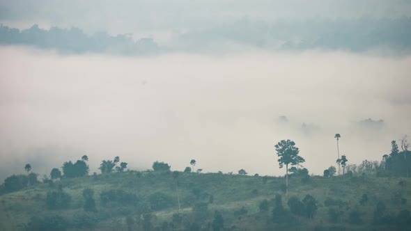 Fluffy fog cloud flowing on natural forest mountain from time lapse sunrise cloudy sky on morning