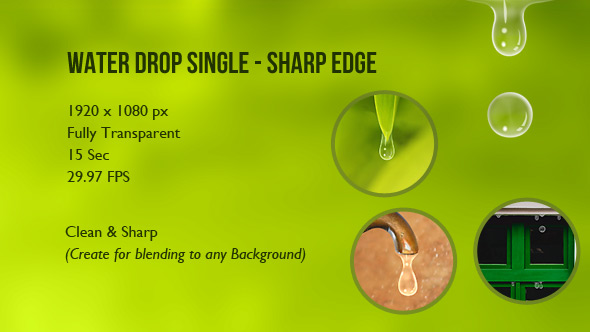Water Drop Single - Sharp Edge / Videohive