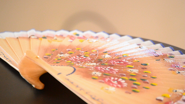 Hand Fan Decorated Complement Female