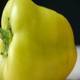 Green Pepper - VideoHive Item for Sale