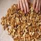 Walnut Kernels on the Table - VideoHive Item for Sale