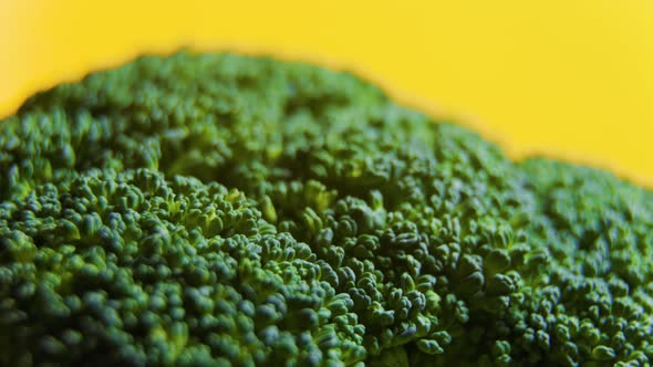 Close Up Green Fresh Broccoli Vegetables Rotating