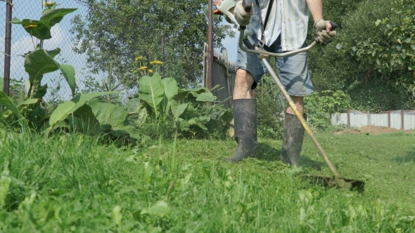 Gardener Cuts The Grass With Lawn String Trimmer