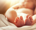 newborn baby with soft blur effect - PhotoDune Item for Sale
