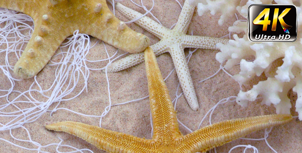 Starfish and Fishnet on Sand 3