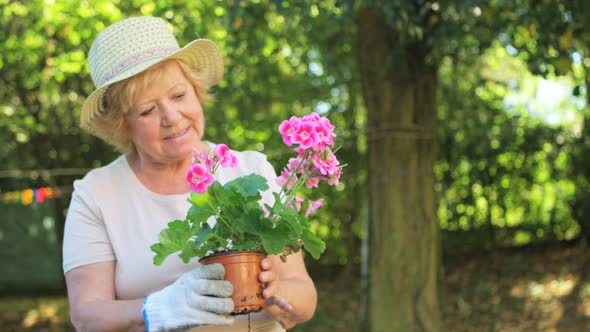 Senior woman examining pot plant in garden