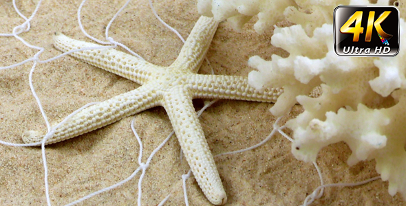 Starfish and Fishnet on Sand 2