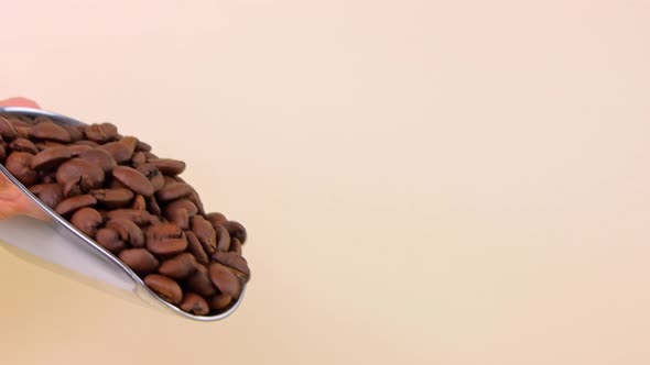 Coffee beans pouring from steel scoop on light background cafe 4K. Freshly roasted aromatic grains