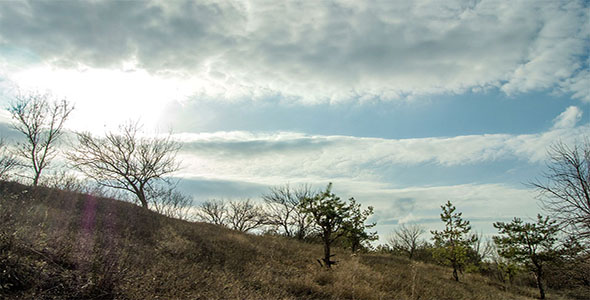 Early Spring Timelapse