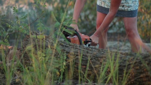 Woman With Chainsaw Cutting The Trunk In Forest