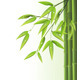 Bamboo background  - GraphicRiver Item for Sale