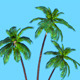 Low Poly Palm tree - 3DOcean Item for Sale
