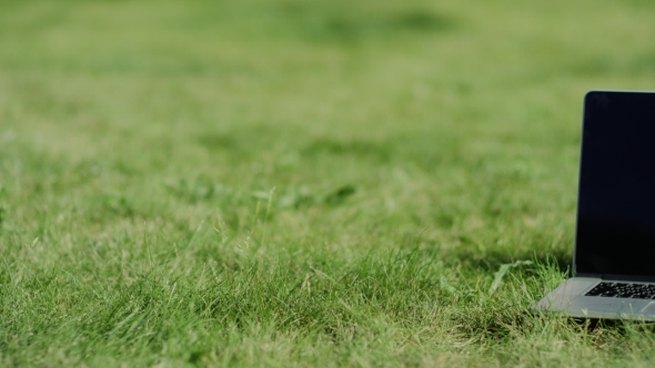 Notebook On Grass Summer, Green Background