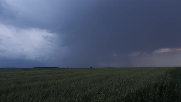 Wheat Field With Rain Clouds 01 alt
