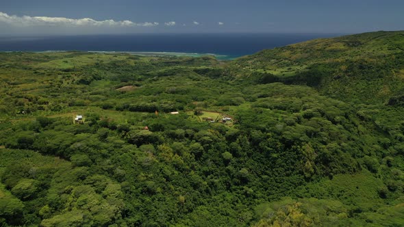 the view from the bird's eye view of the jungle and the Indian ocean, Mauritius