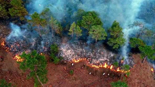 Firefighters Helped Battle a Wildfire