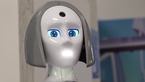 A Modern Robot in the Form of a Woman