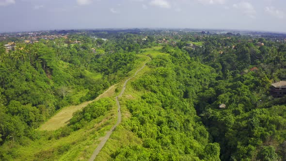 Panoramic Aerial View Campuhan Ridge Walk , Scenic Green Valley in Ubud, Bali, Indonesia.