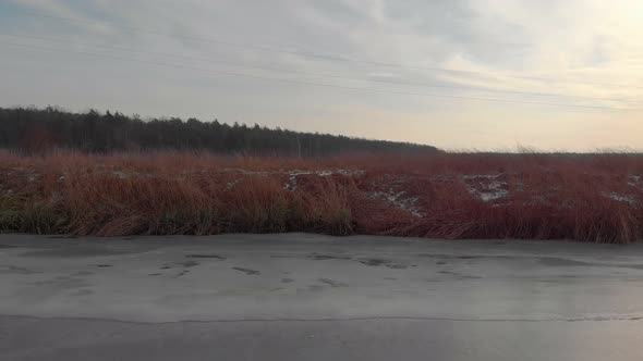 Frozen River Field And Forest