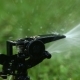 Garden Sprinkler. Selective Focus. - VideoHive Item for Sale