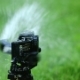 Garden Sprinkler. Selective Focus. High Frame Rate - VideoHive Item for Sale