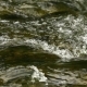 Splashes Of Water Rolling On a Mountain River - VideoHive Item for Sale