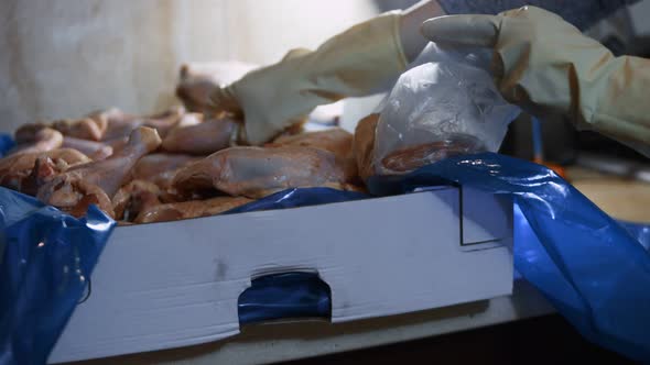 Closeup View of Hands in Gloves Packing Chicken Legs From a Box Into Individual Plastic Bags