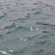 Water Surface. Sea, Ocean, Lake, River, Waves - VideoHive Item for Sale