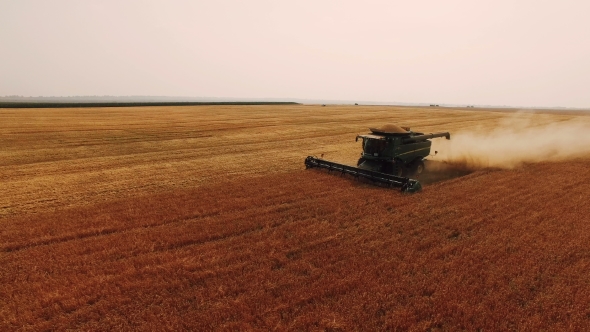 Aerial View Of Wheat Harvest With Modern Combine Harvester In 