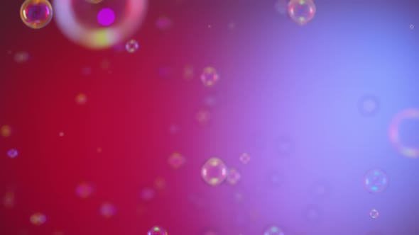 Blurred Footage of Beautiful Colorful Rainbow Soap Bubbles Flying in Air Against Blue and Red