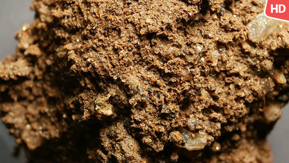 Organic Soil Test 0666