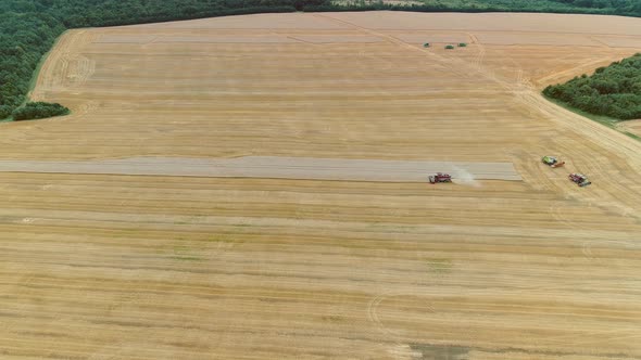 Agricultural Combines Harvesting Wheat On The Big Field.