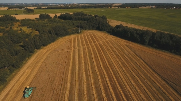 Aerial View Combine Harvesting a Field Of Wheat.