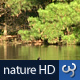 Nature HD | Ducks in Lake - VideoHive Item for Sale