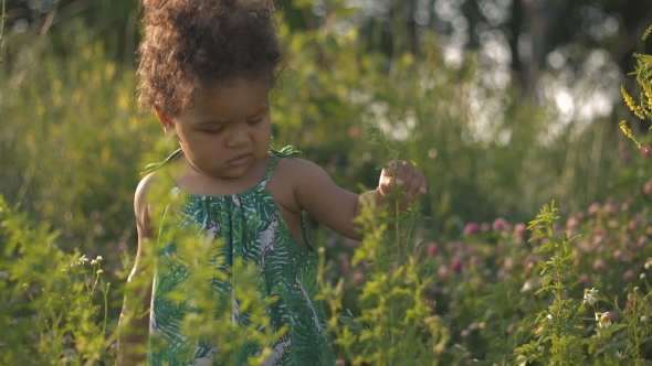 Handsome African-American Child In The Green Grass On The Nature