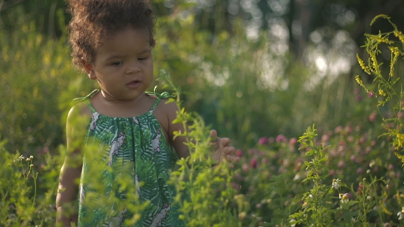 Handsome African-American Child In The Green Grass On The Nature