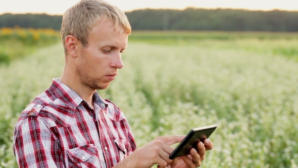 Young Farmer At Sunset With The Tablet Makes Data Growth In The Field