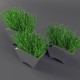 Plant in mirror pots - 3DOcean Item for Sale