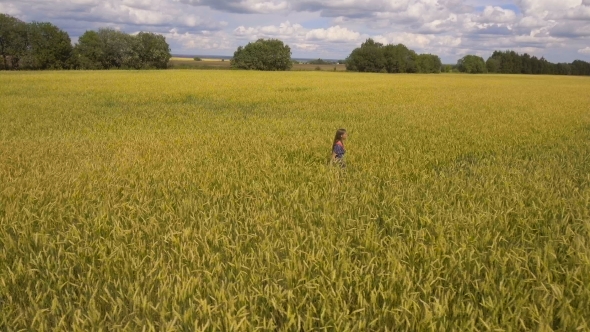 Young Girl In The Wheat Field