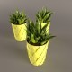 Plant Cactus in yellow pot - 3DOcean Item for Sale