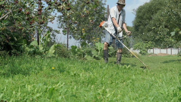 Gardener Cuts The Grass With Lawn String Trimmer