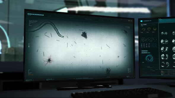 Software is studying the worm microorganism development at the modern laboratory alt