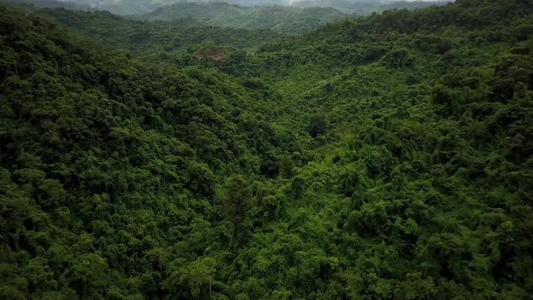 Logistic concept aerial view of countryside road passing through the serene lush greenery and foliag